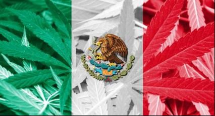 Senado do México aprova lei de legalização da maconha