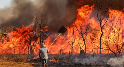 Câmara aprova punição maior para quem provocar incêndio florestal