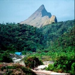 Conheça o pico mais alto do Brasil escondido entre paisagem de tirar o fôlego